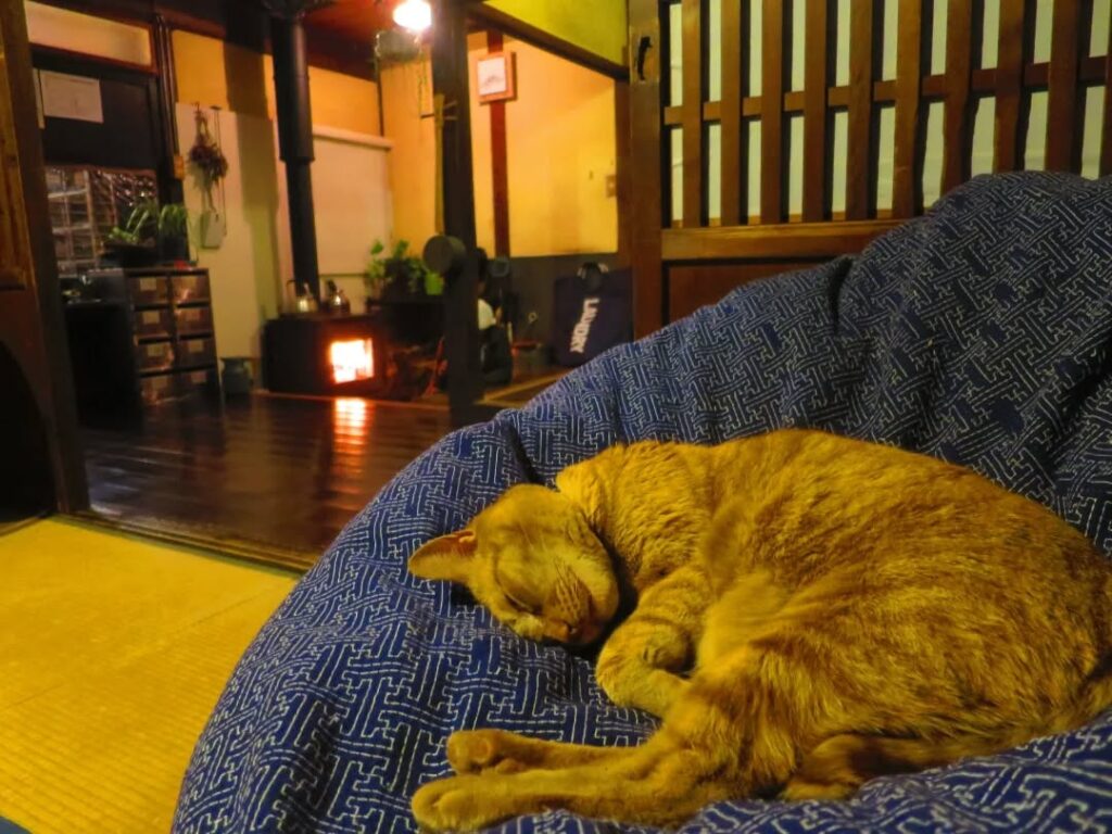 眠るみーにゃん