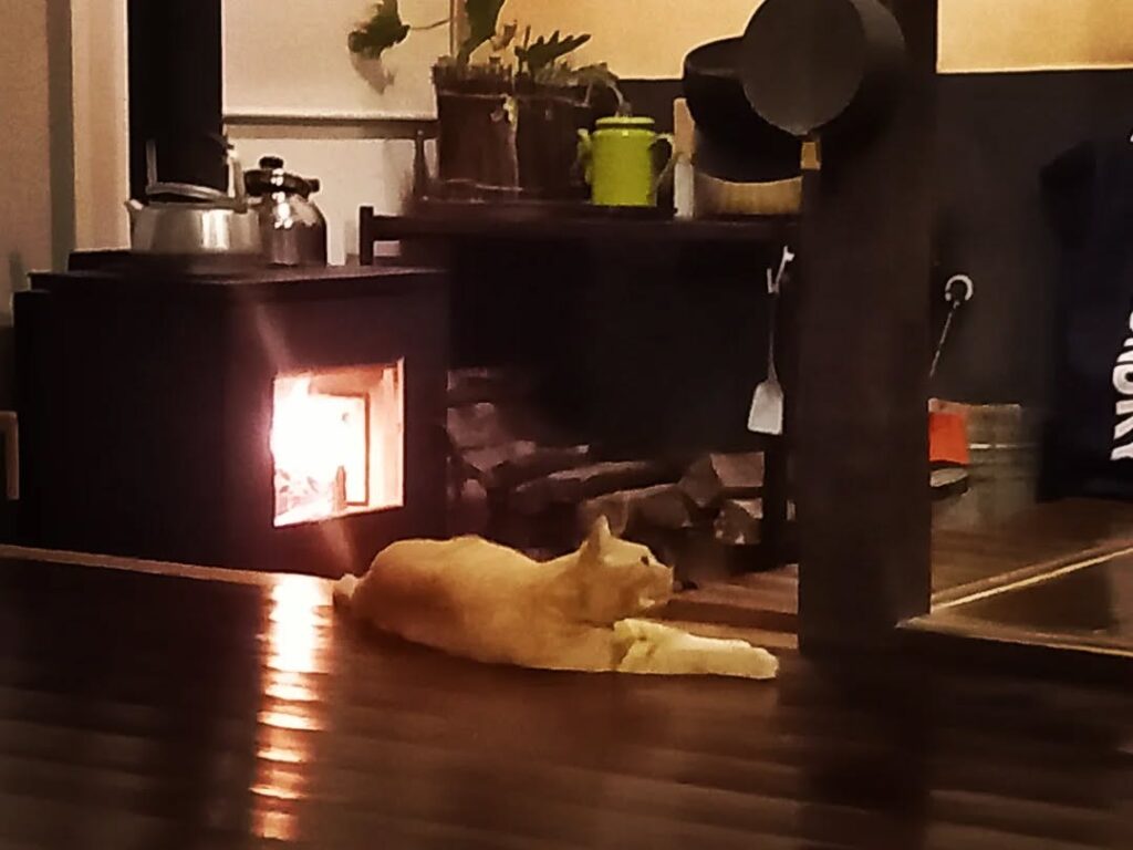 薪ストーブとみーにゃん